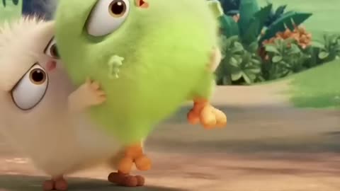 The bird funny video kids