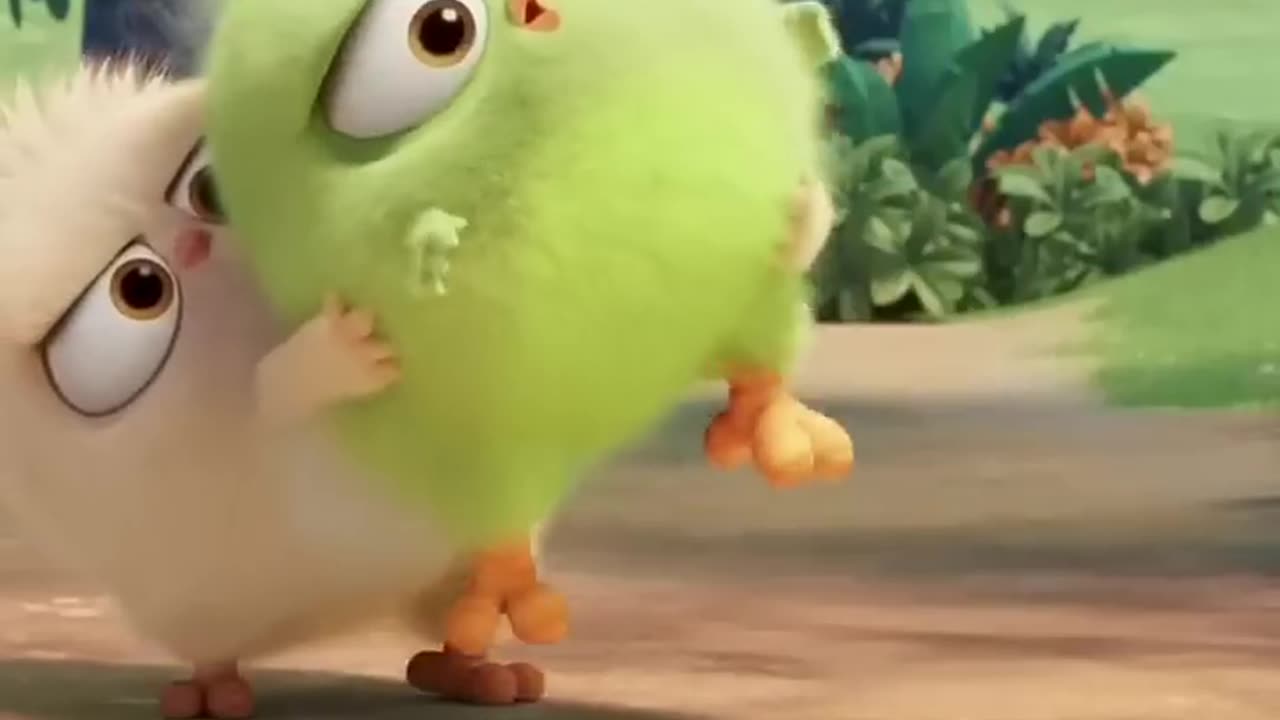 The bird funny video kids