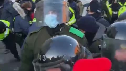 Protestors Trampled By Cops On Horseback In Ottawa