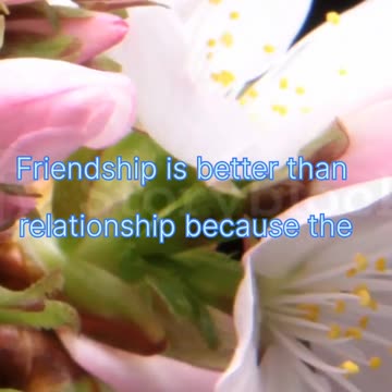 Aqwal e Zareen,Friendship is better than relationship because the