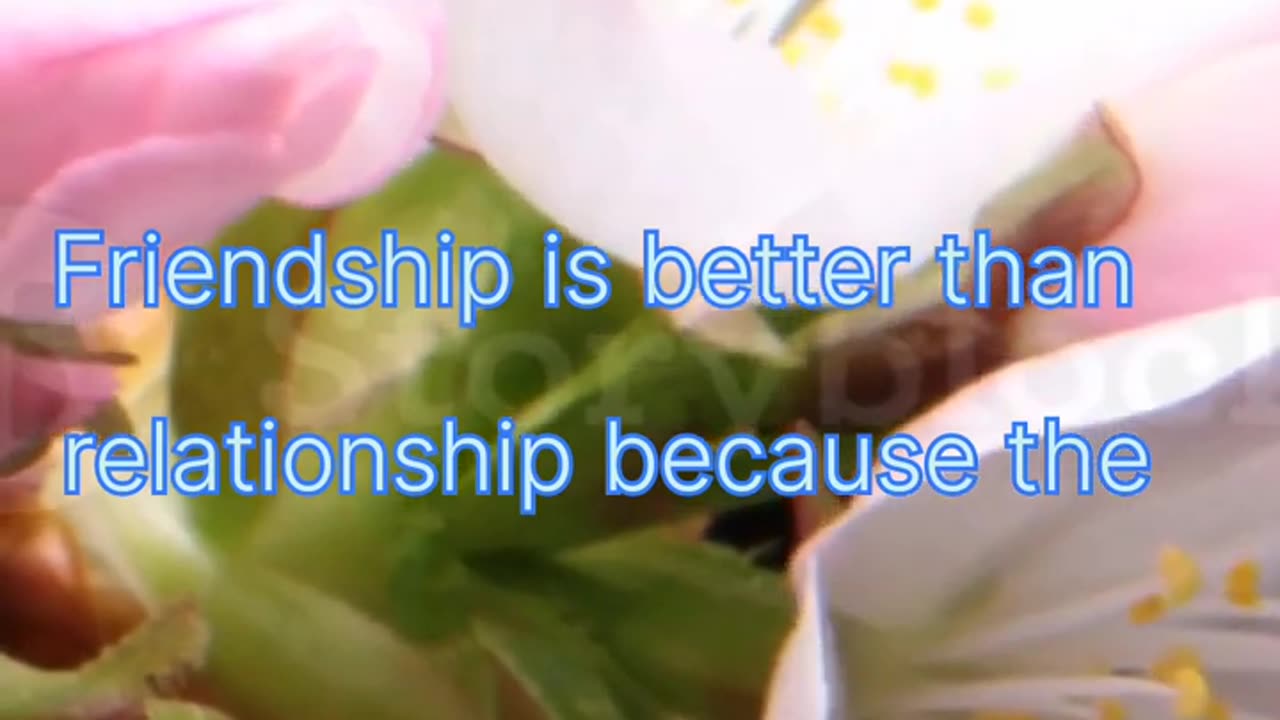 Aqwal e Zareen,Friendship is better than relationship because the