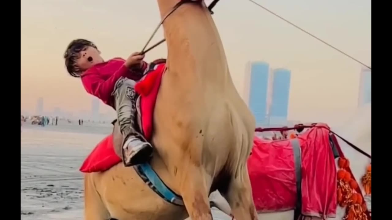 Hours Dance Video