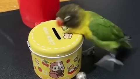 Animals lovers