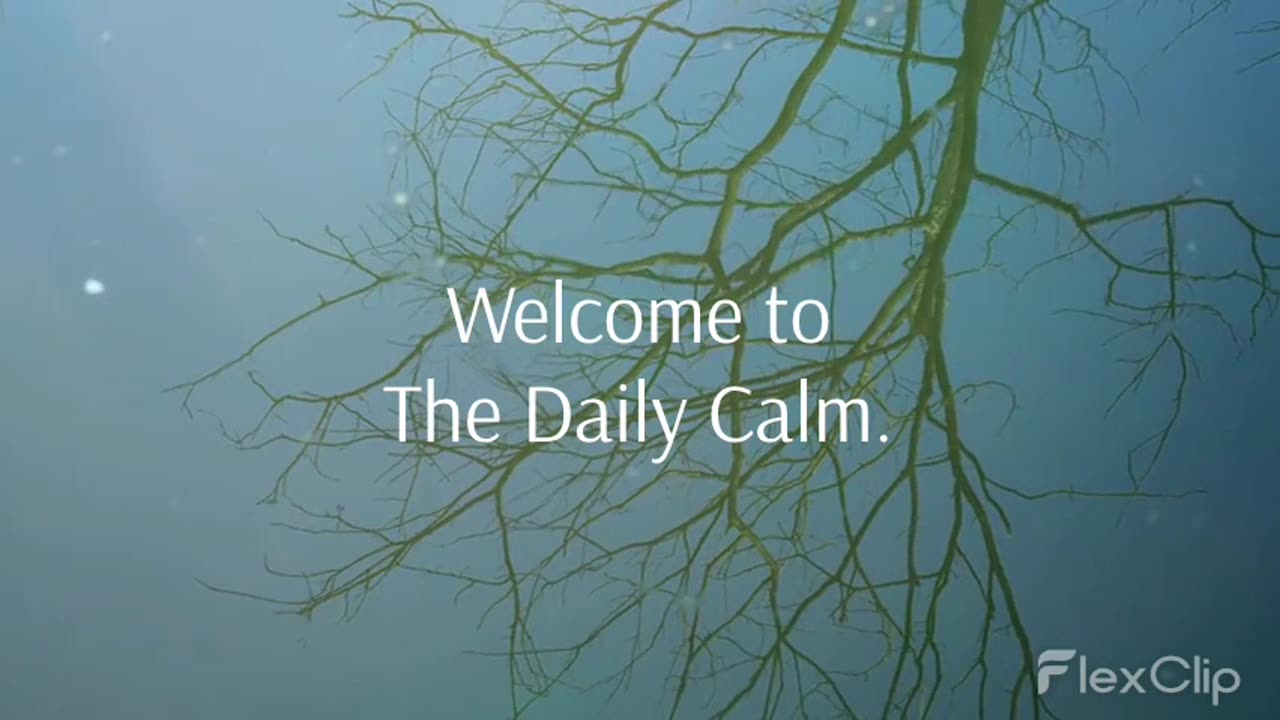 The Power of Meditation: An Introduction to Mindfulness and Self-Discovery
