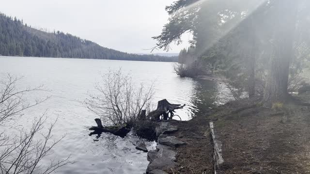 AMAZING Lake Shoreline Loop – Suttle Lake – Central Oregon – 4K