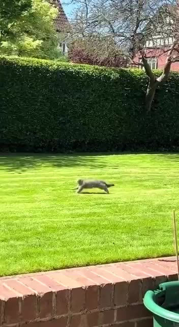 Discovering the great outdoors for the first time