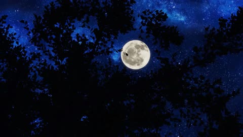 Calming Moon Visuals with Calming Relaxing Music