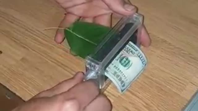 A new machine that turns tree leaves into money
