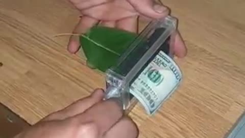 A new machine that turns tree leaves into money