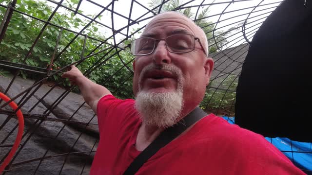 VACCINES ARE FOR PIGS NOT PEOPLE