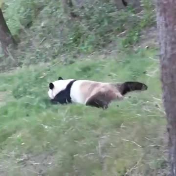 I did this in my younger childhood days 😍👍