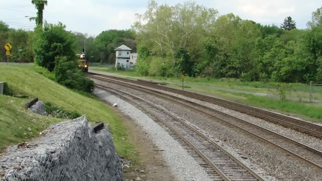 Black cat crossing train tracks 😿see what happens next..