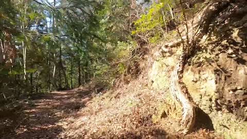 Hiking in Okutama, Tokyo Japan