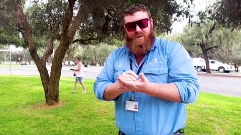 WTF 96 - Mildura Council in Victoria, Australia takes down Forest of the Fallen