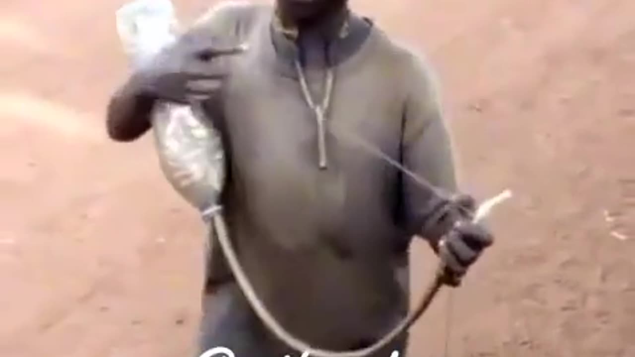 Funny 😂🤣 song