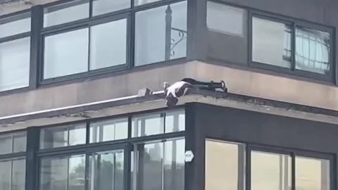 W Parkour