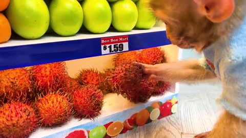 Monkey Baby Bon Bon goes to buy fruit at the supermarket and eat so yummy with puppy