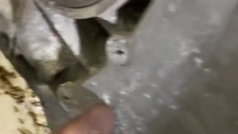Maintenance routine