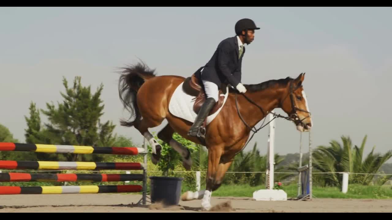 African American man jumping an obstacle with his Dressage horse