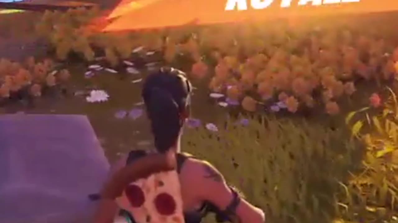 #1 Crown Victory outside the Estate Fortnite Trios