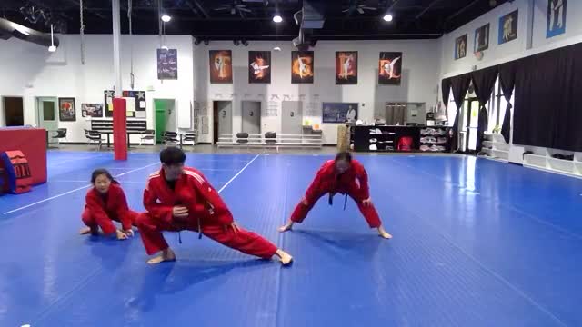 Taekwondo