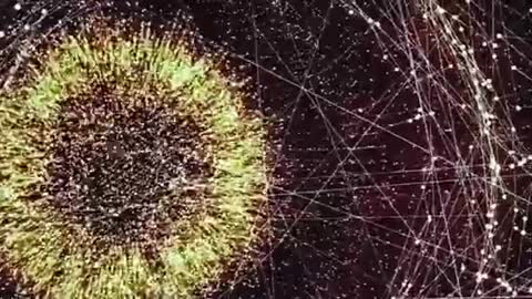 CERN A VERDADE