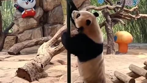 Perseverance, must eat!