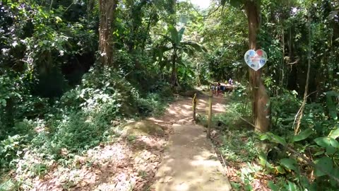 Secret Waterfall and natural slide In Puerto Rico Las Paylas