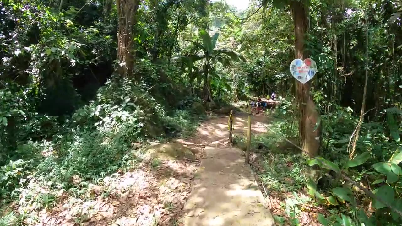 Secret Waterfall and natural slide In Puerto Rico Las Paylas