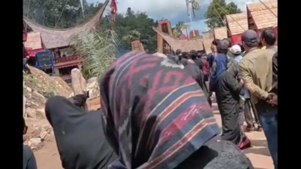 Toraja Buffalo Cut