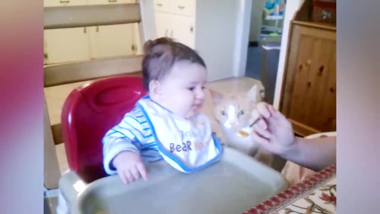 Baby and Cat fun and cute - Funny baby video