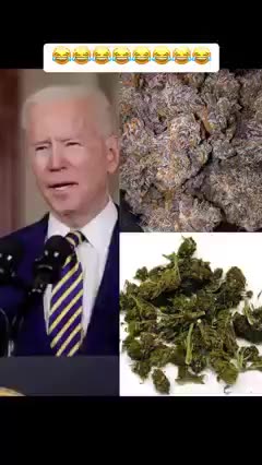 JOE BIDEN AND THAY STICKY YIKEY