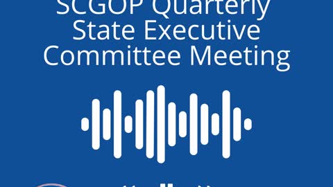 SCGOP State Executive Committee Censure GCGOP Chair For Speaking Truth to Power