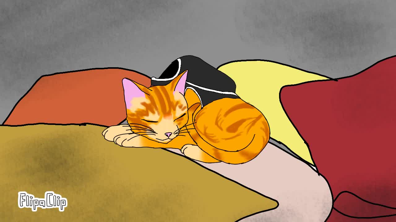 Hey Kids animation meme// Stray //warning spoile