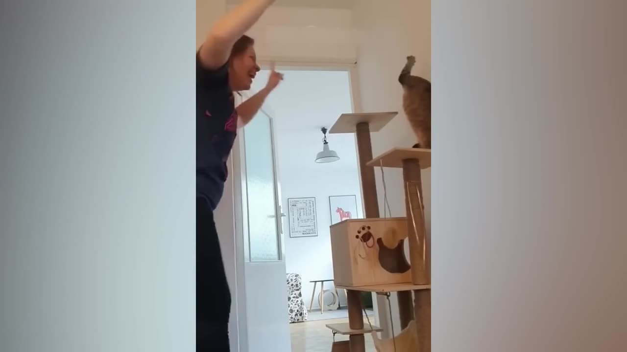 Funniest Animals videos 2023 π Funniest Cats and Dogs πΊπΆ