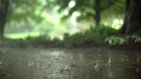 Rain slowly fall on the road