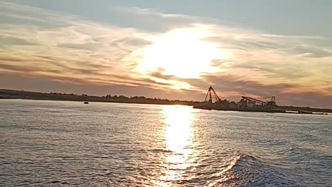 Seagulls and sunset
