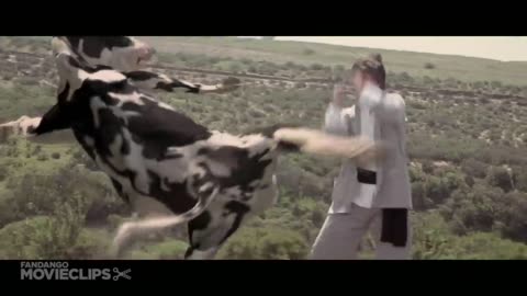 Cung pow: Cow fight : Funny Fight