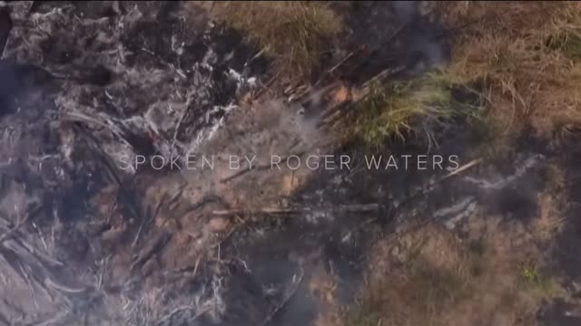 Roger Waters on Challenging Authority