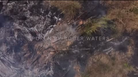 Roger Waters on Challenging Authority