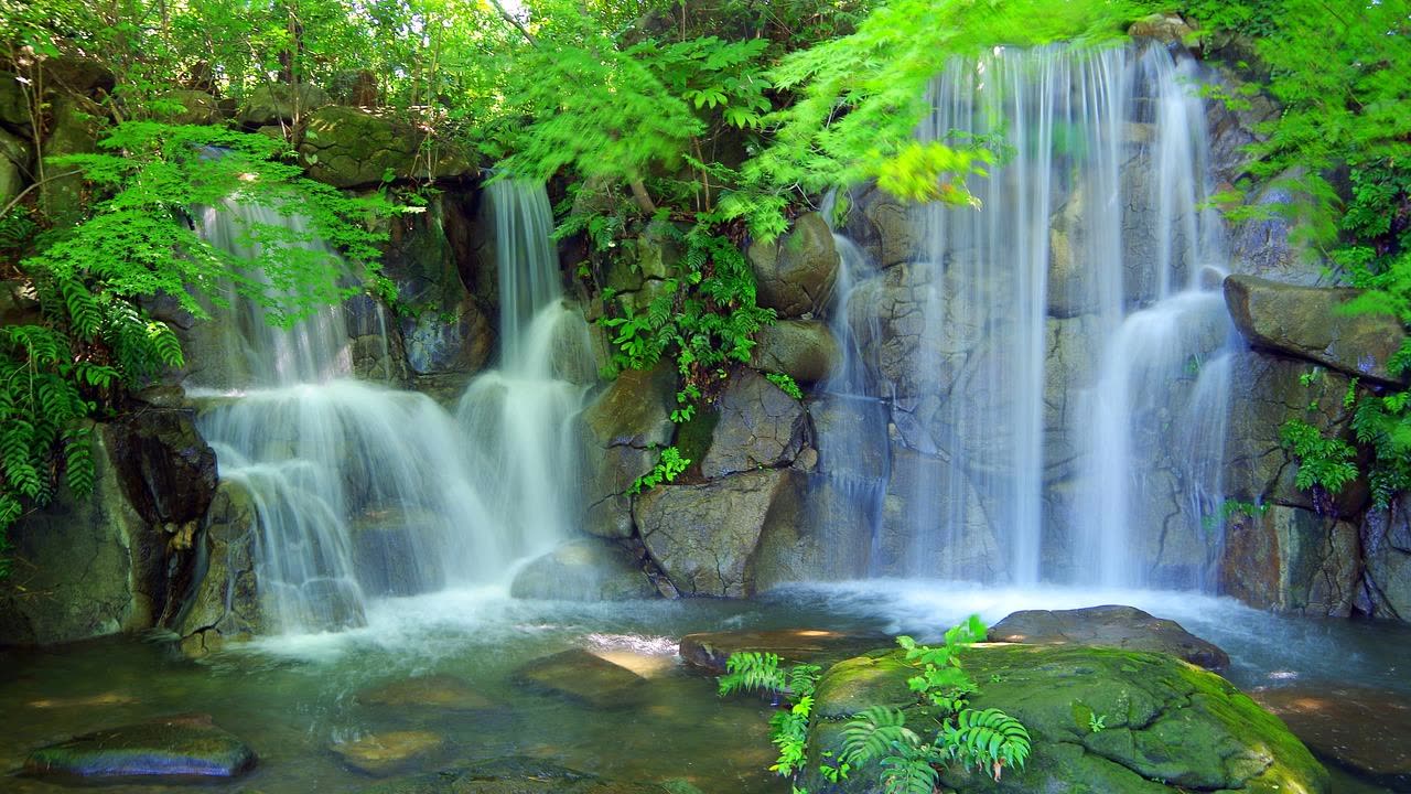 Source of Life