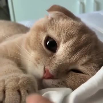 #FYP #ForYou #TikTokFYP #ForYouPage #Trending #Viral #ExplorePage #FYPシ