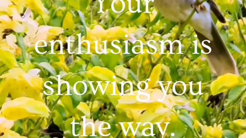 ~ Your enthusiasm is showing you the way