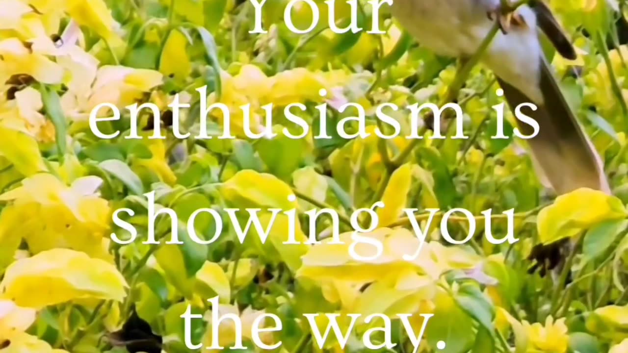 ~ Your enthusiasm is showing you the way