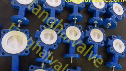 PTFE Lined Butterfly Valve