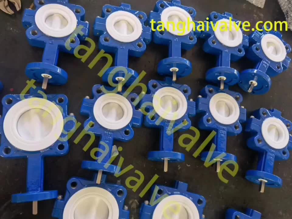 PTFE Lined Butterfly Valve