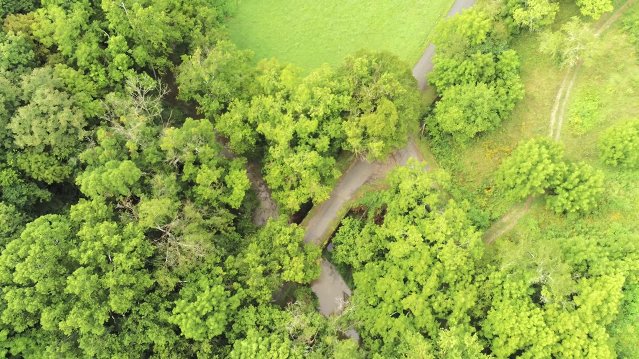 A Local Tour-North Casey County Kentucky