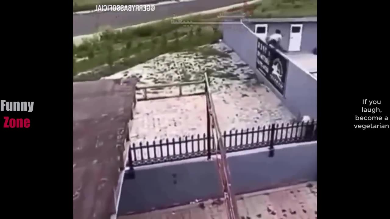 FUNNY VIDEO TYR NOT TO LAUGH