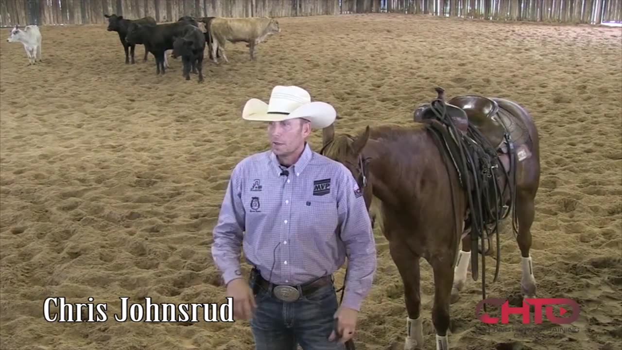 How to teach a cutting horse horse to spread his hind feet with me