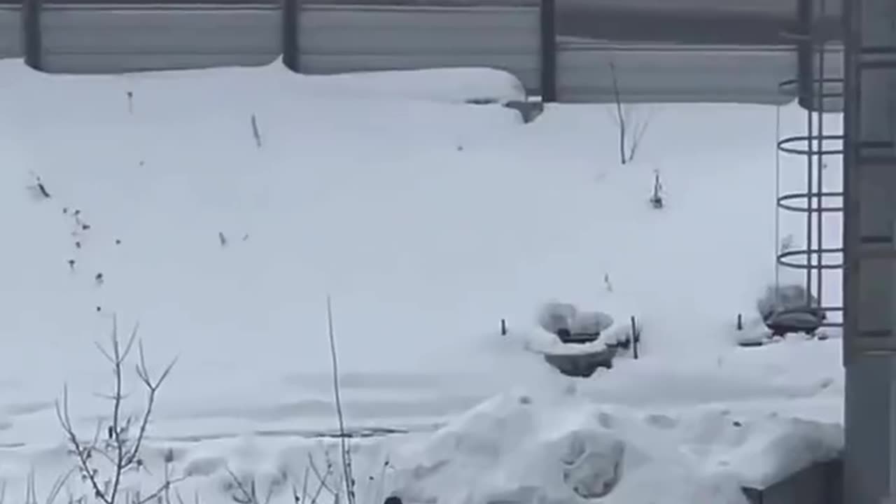 Now, That Look Like A Fun